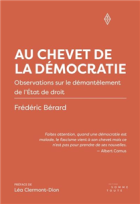 Au chevet de la démocratie